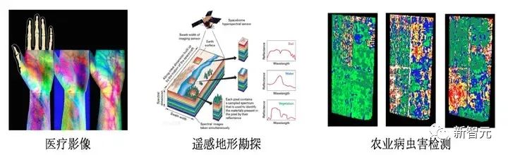 图1 高光谱图像的应用