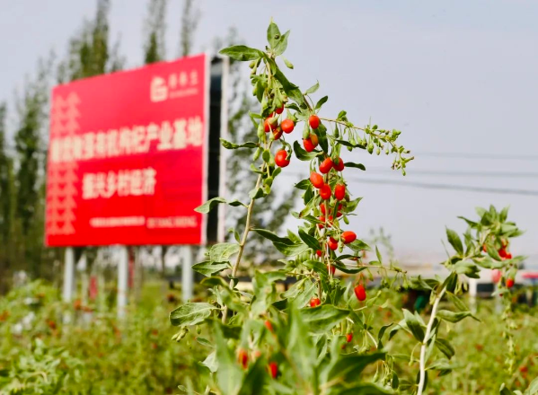 扶贫攻坚同擎蓝图10