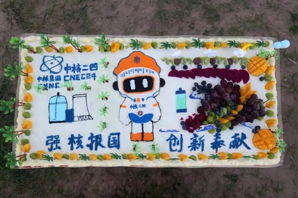中核青年图2