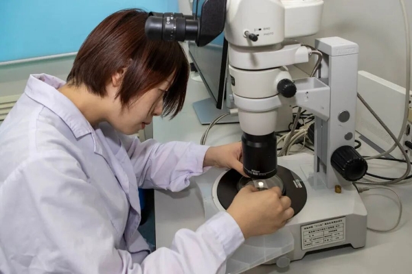 人物图7 人物图7