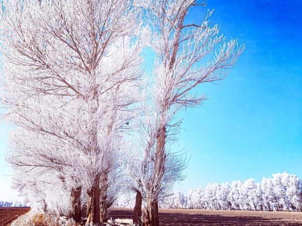 微信图片_2026-01-04_103240_836